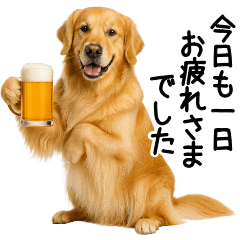 Golden Retriever Daily Polite Messages