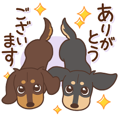 ダックス大好き！仲良しラブラブつめあわせ