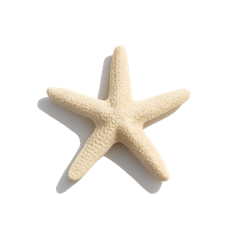 manaca_20250917143735