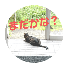 chihiro_20250916015641