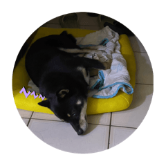 歐藤睡覺大集合