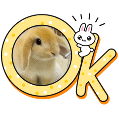 《安安和蛋蛋的日常》