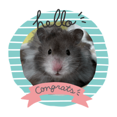 家有二鼠寶.ᐟ.ᐟ.ᐟ