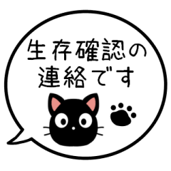 SURVIVAL CONFIRMATION/BLACK CAT