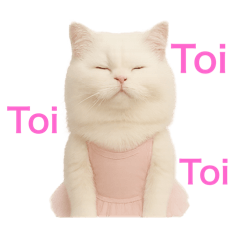 shiho_20250917142652