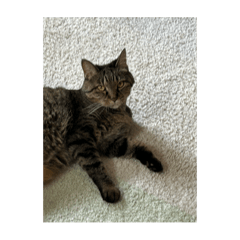 sevensea__20250916133454