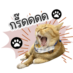 Lotus sud lor and puen Panda sud phiset