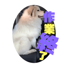 chika_20250916174544