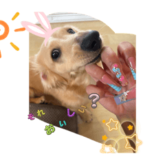 misaki_20250916185946