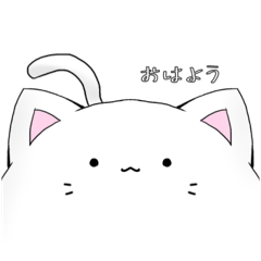 ringo_20250916185812