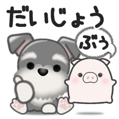 ミニチュアシュナウザー＊わくわくな毎日