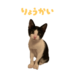 kaoru_20250917154755