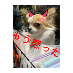 suzu_20250917164104