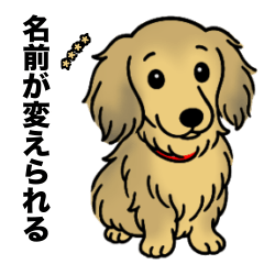 名前入りダックスシェーデッドイエロー