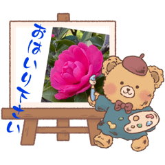 Sunny_20250917161837