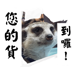 膜鬼貼手-營業用貼圖2