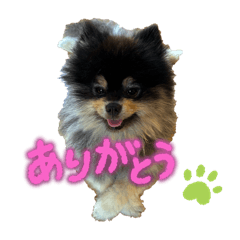 takumi_20250917194526