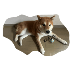 chikuwa_20250917195114