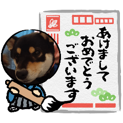 犬のスタンプＮｏ．2