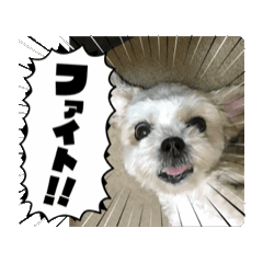 natsu_20250917203945