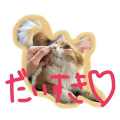My name is Ame.