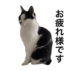 eriko_20250917203001