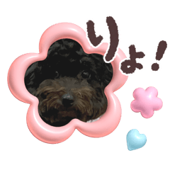 ayumi_20250917210518