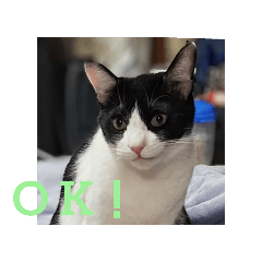 SAORI_20250917210918