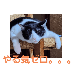 SAORI_20250917211058