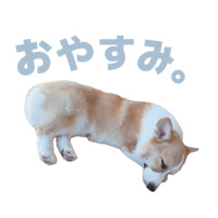 john_20250917171809