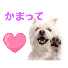 chloe_20250918003459