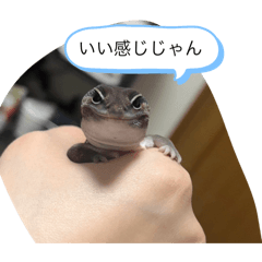 kitamu_202509180049