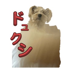 natsu_20250918005440