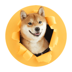 AKIKO_20250917173324