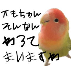 omochi_20250917201132