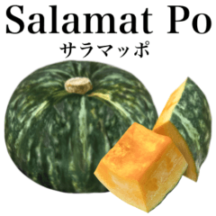 Delicious pumpkins from Japan 16