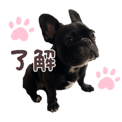 tamago_20250917154818