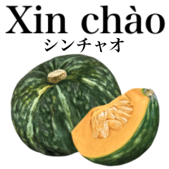 Delicious pumpkins from Japan 20