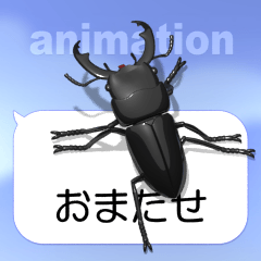 Kokuwagata on the SP 1 (animation)