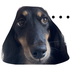 Natsu_20250917175229