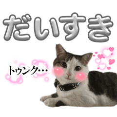 kurumi_20250918014640