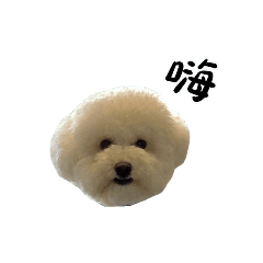 貴賓餅賓²