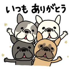 cutefrenchbulldog cute doglove 2025