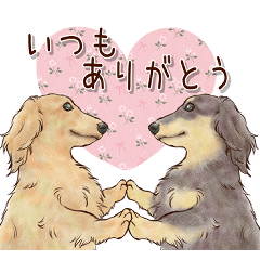 ほんのりオパールな毛並のダックスたち