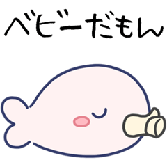 A baby whale's "smug face" days 1