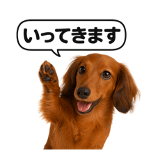 hayato_20250917182958