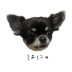 chichi_20250917190202