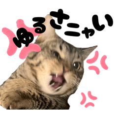 M_20250917225301