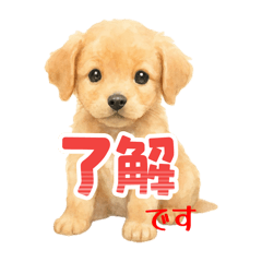Yuka_20250917205959