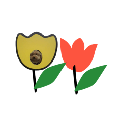 Alisa_20250917205630